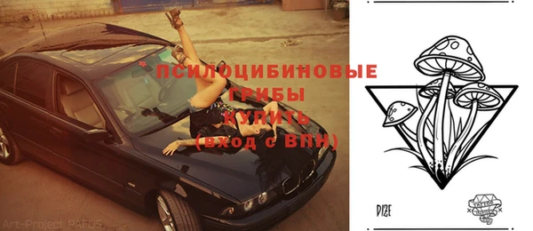 гашик Волосово