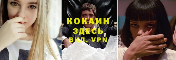 шишки Семикаракорск
