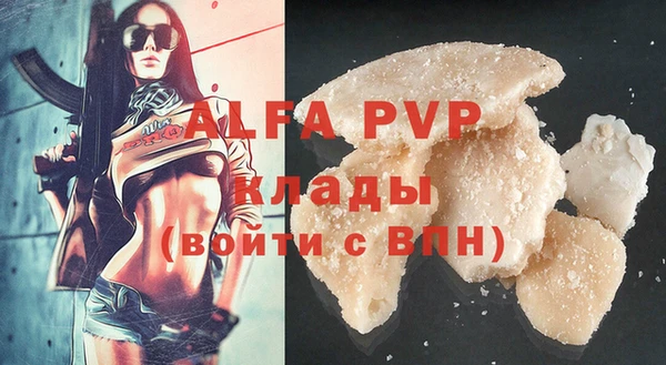 сатива Володарск
