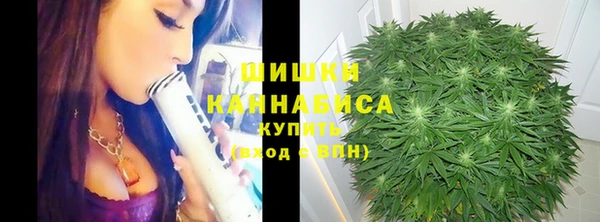 гашик Волосово