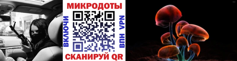 Галлюциногенные грибы Psilocybine cubensis  Выкса 